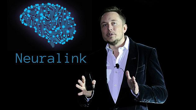 马斯克的脑机接口公司 Neuralink 完成 C 轮融资：筹集资金 2.05 亿美元
